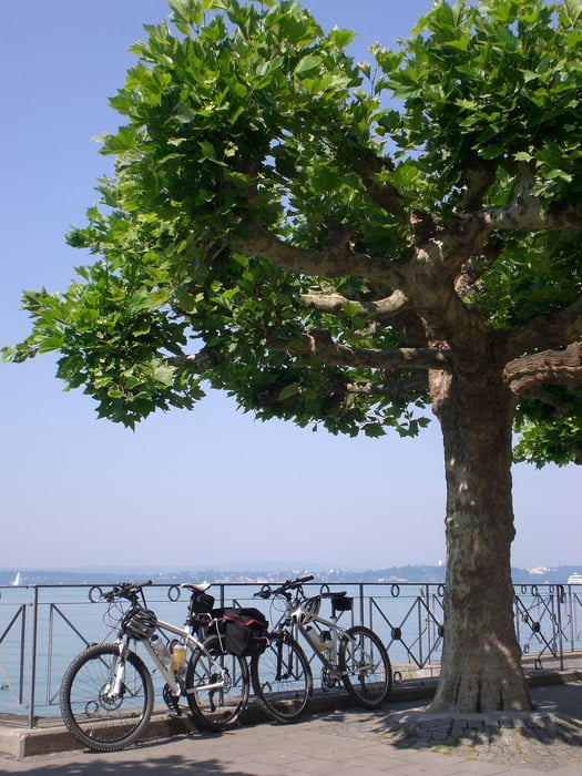 Fahrrad Touring Bodenseerundfahrt (Tour 61075)